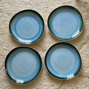 New West Elm Organic Shaped Glazed Dinner Plate Set of 4